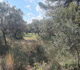  Maison � vendre 4 pi�ces 85 m�