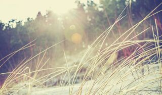  Terrain � vendre 500 m�