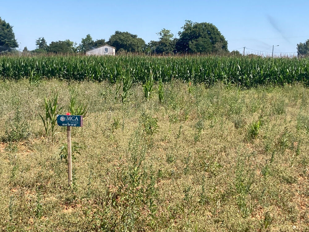 vente Terrain - 630 m² Balanzac (17600)