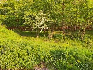  Maison � vendre 5 pi�ces 90 m�