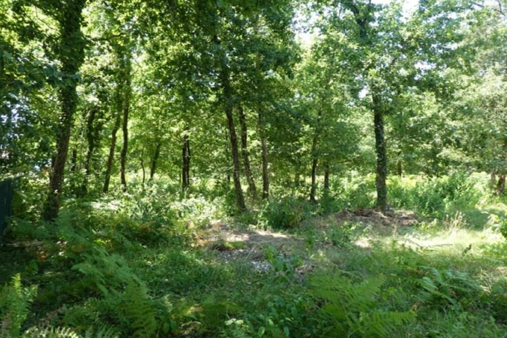 vente Terrain - 676 m² Audenge (33980)