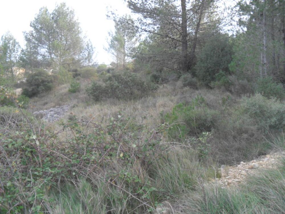 vente Terrain - 435 m² Lédenon (30210)
