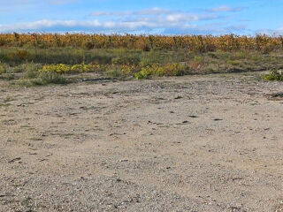  Maison � vendre 4 pi�ces 124 m�