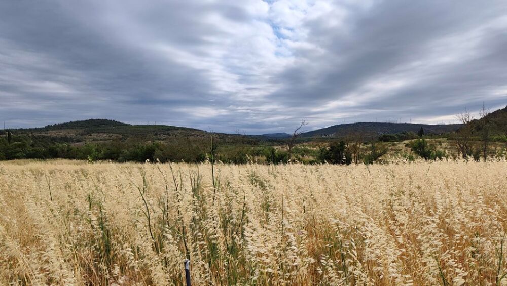 vente Terrain - 758 m² Portel-des-Corbières (11490)