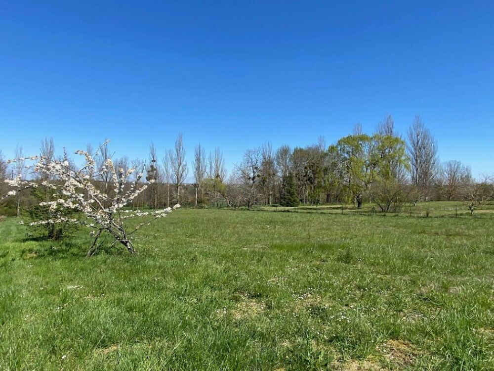 vente Terrain - 1000 m² Émancé (78125)