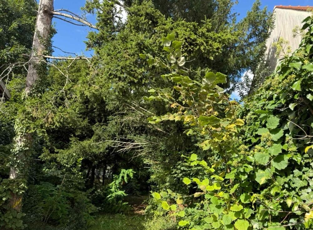vente Terrain - 644 m² Saint-Michel-sur-Orge (91240)