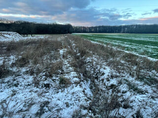  Terrain � vendre 607 m�