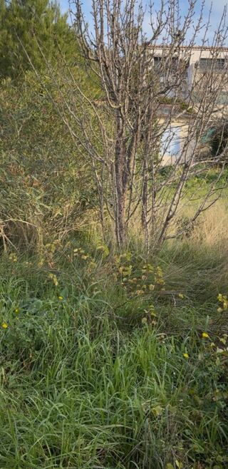  Terrain � vendre 685 m�