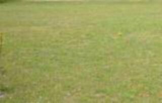  Terrain � vendre 1042 m�