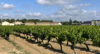  Terrain à vendre 521 m²