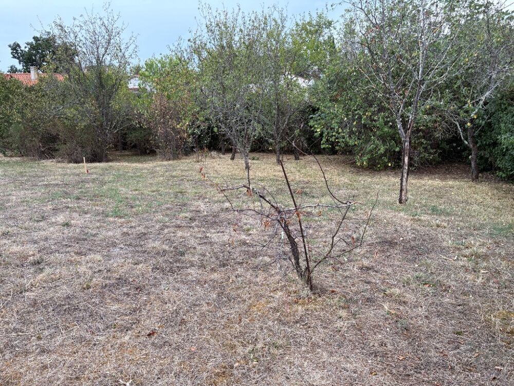 vente Maison - 3 pièce(s) - 67 m² Lagarrigue (81090)