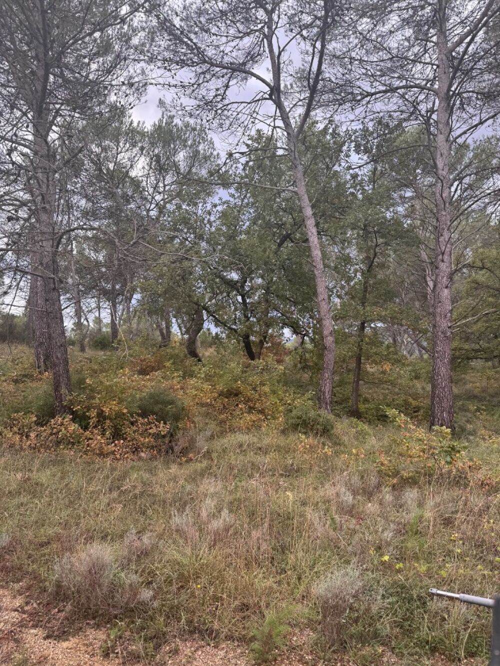 vente Terrain - 352 m² Fuveau (13710)