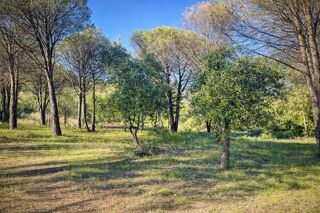  Maison � vendre 7 pi�ces 180 m�