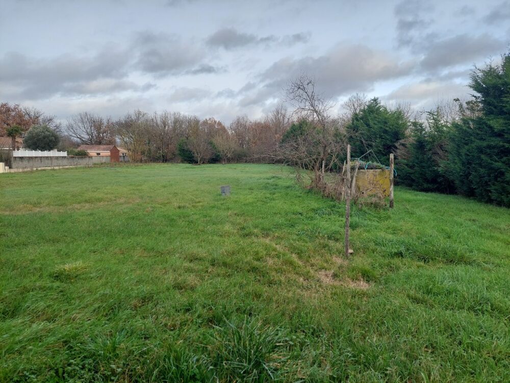 vente Maison - 5 pièce(s) - 84 m² Lavaur (81500)
