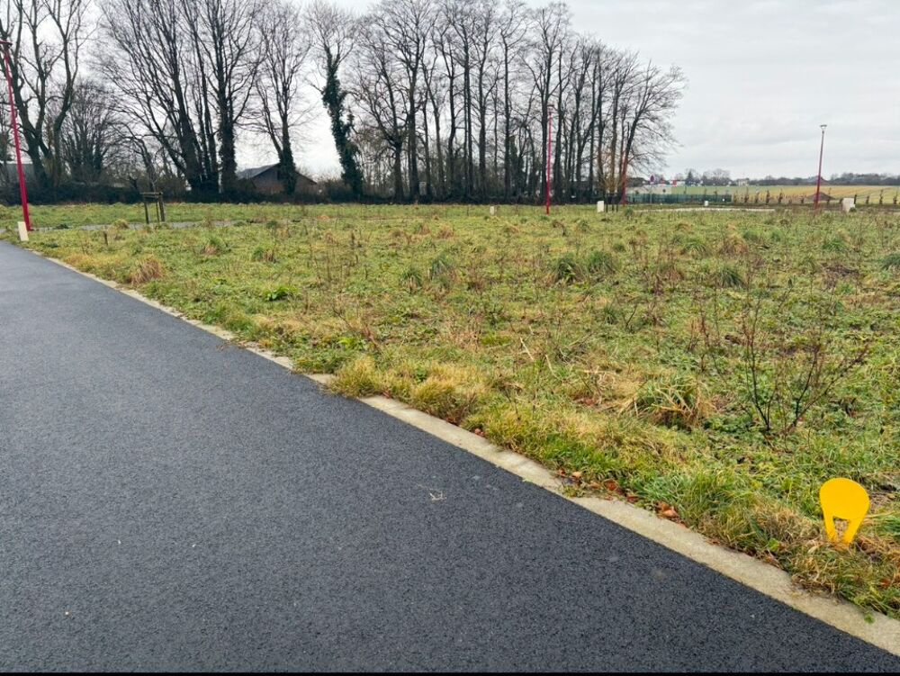 vente Terrain - 592 m² Fauville-en-Caux (76640)