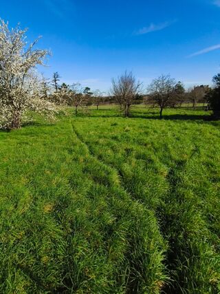  Terrain � vendre 950 m�