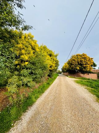  Terrain 392 m� Bormes-les-mimosas