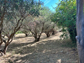  Terrain à vendre 300 m²
