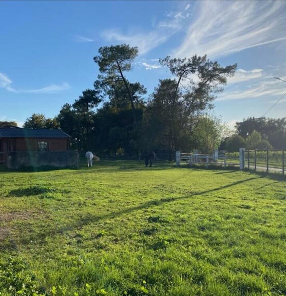 vente Terrain - 1045 m² Bassens (33530)