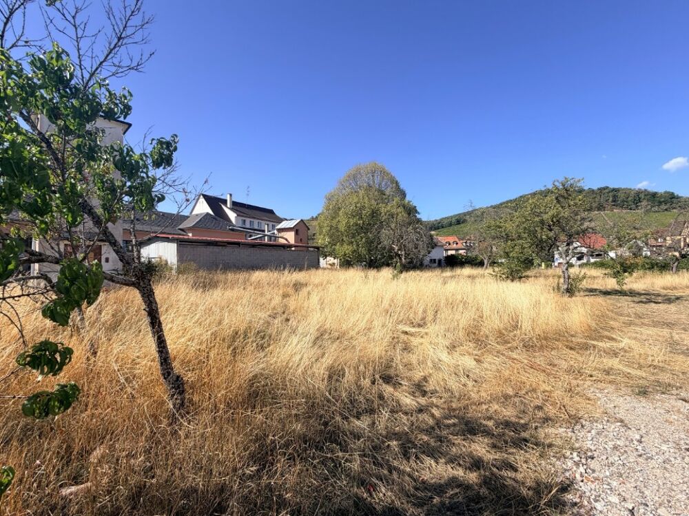 vente Maison - 5 pièce(s) - 170 m² Andlau (67140)