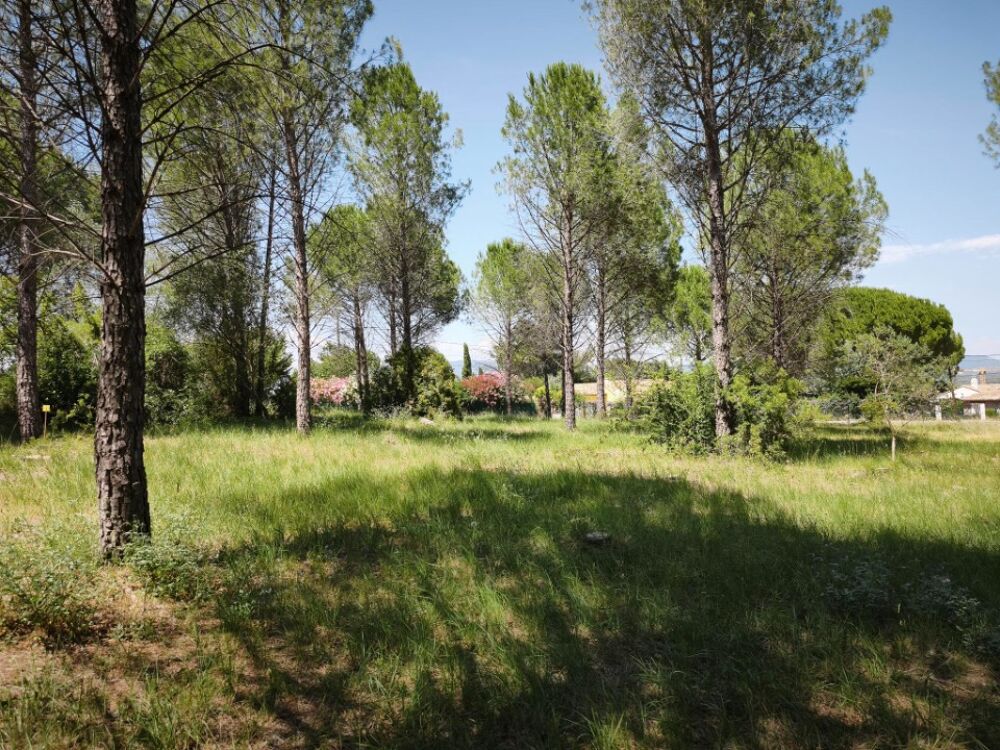 vente Terrain - 500 m² Roquebrune-sur-Argens (83520)