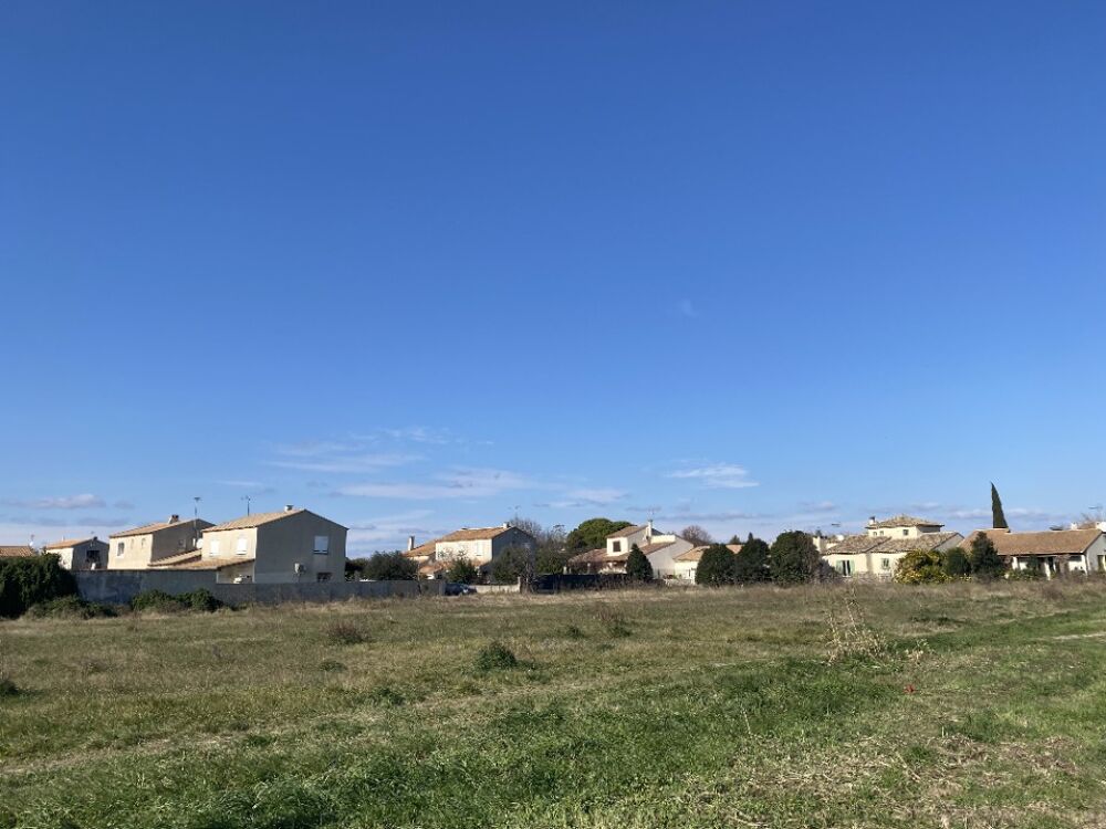 vente Terrain - 300 m Lunel (34400)