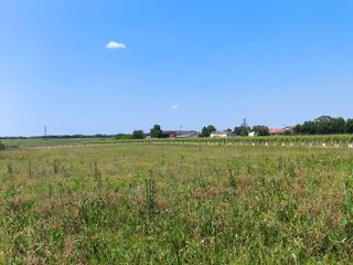  Terrain 1050 m� Saint-simon