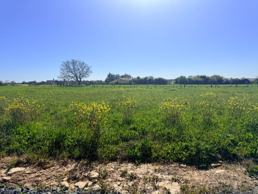 vente Terrain - 464 m² Chaillé-les-Marais (85450)
