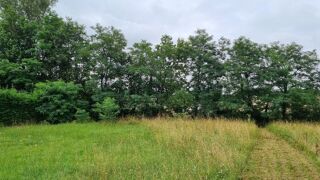  Maison � vendre 7 pi�ces 160 m�