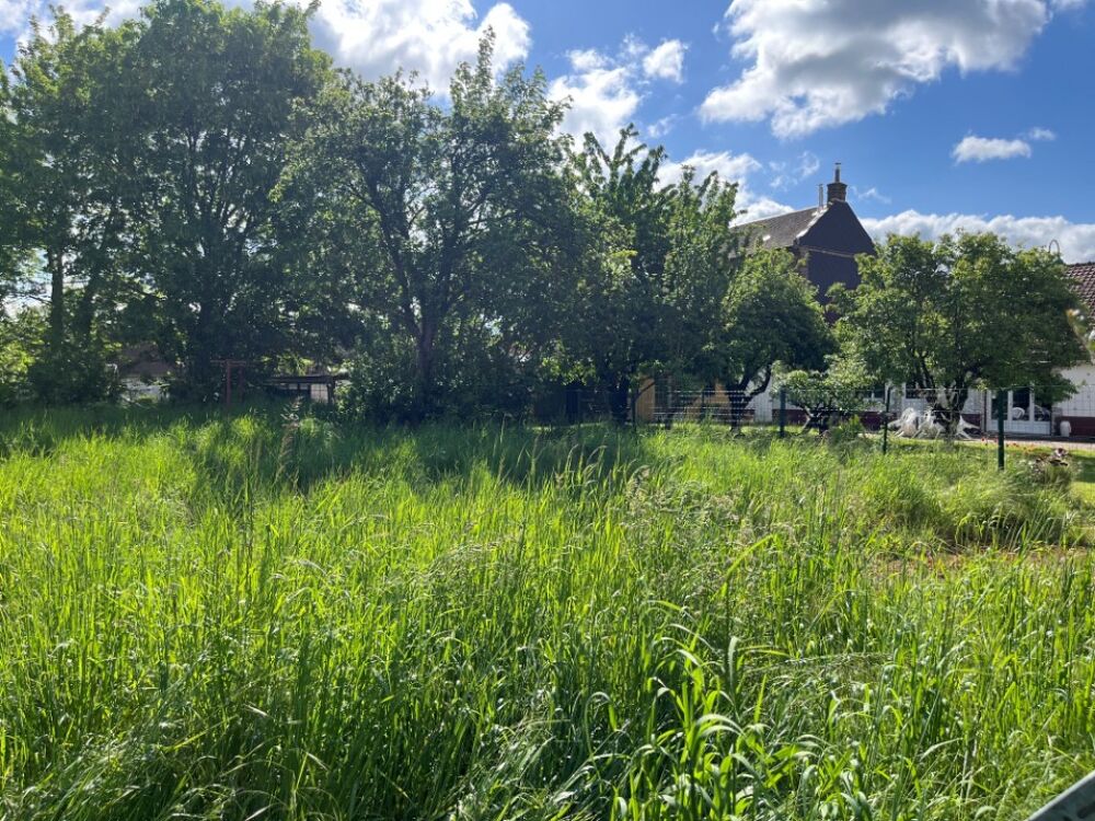 vente Terrain - 1059 m² Cambron (80132)
