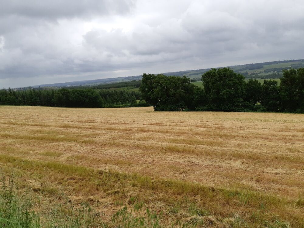 vente Terrain - 656 m² Montjoire (31380)