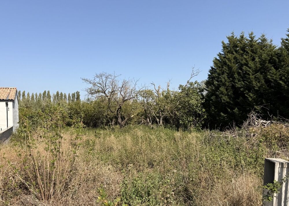 vente Maison - 5 pièce(s) - 91 m² Castelnaudary (11400)