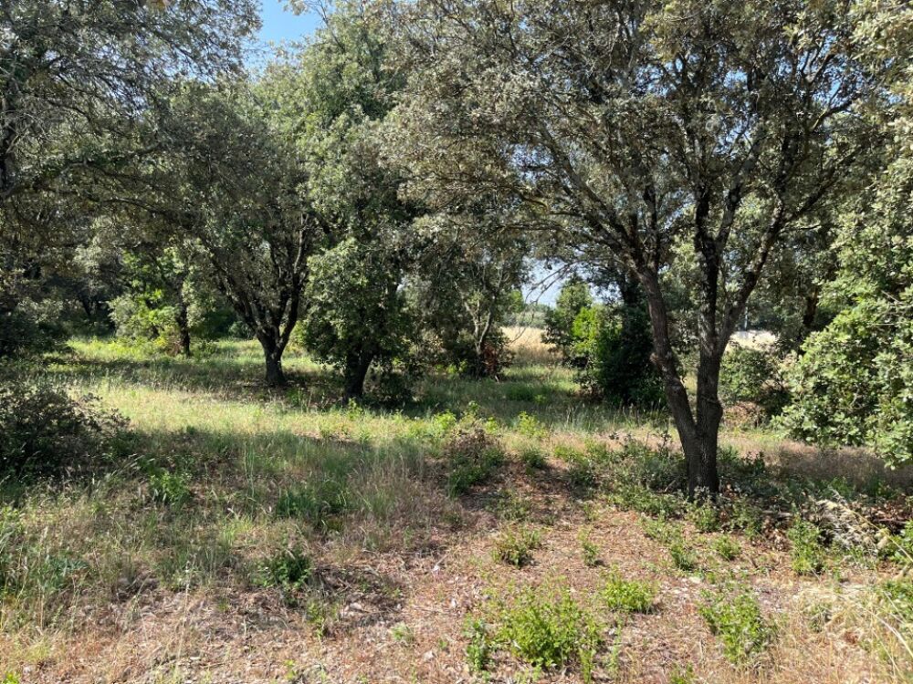 vente Terrain - 1700 m² La Baume-de-Transit (26790)