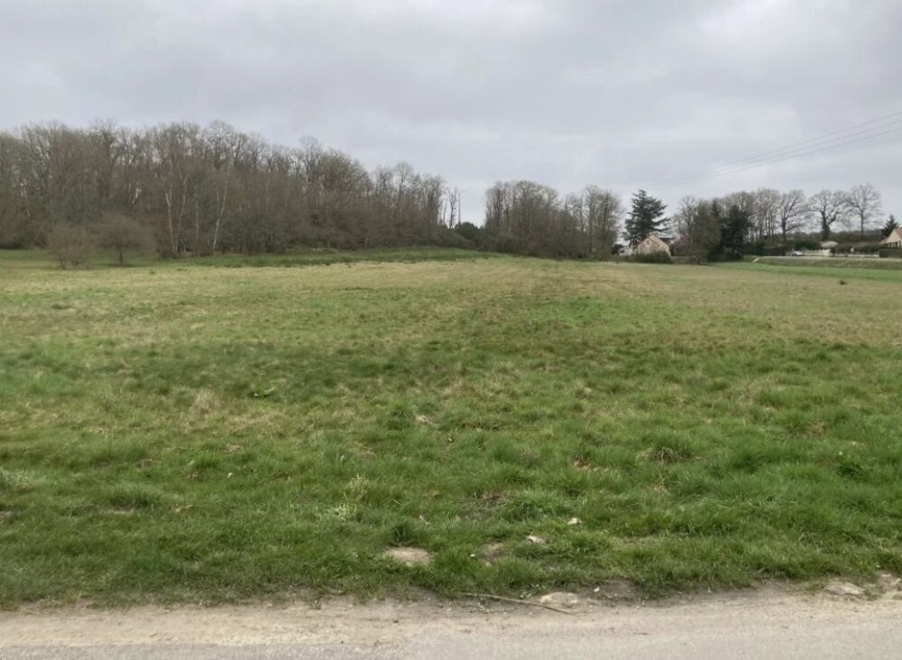 vente Terrain - 1433 m² Raizeux (78125)
