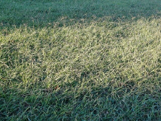  Terrain � vendre 250 m�