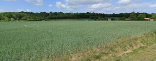  Terrain  vendre 560 m