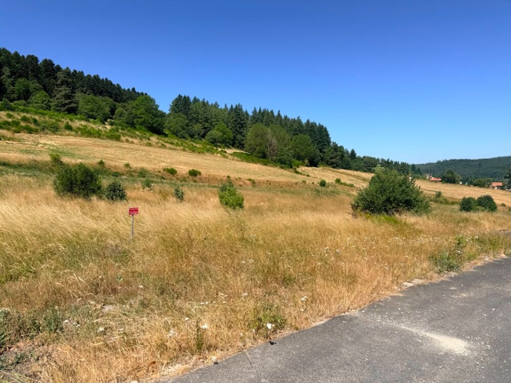 vente Maison - 4 pièce(s) - 80 m² Dunières (43220)