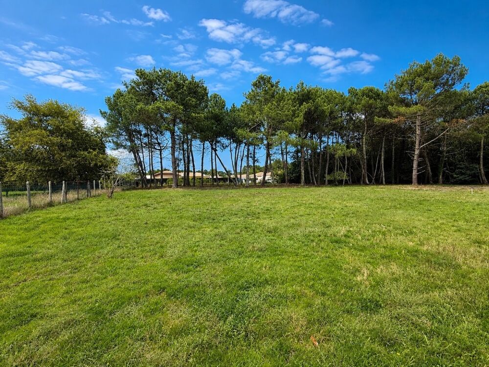 vente Terrain - 940 m² Saint-Aubin-de-Médoc (33160)