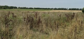  Terrain � vendre 500 m�