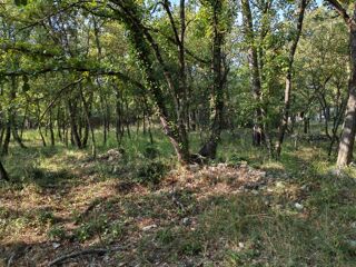  Maison 4 pi�ces 100 m� Trans-en-provence