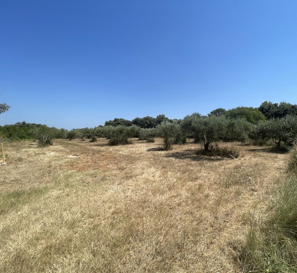 vente Maison - 4 pièce(s) - 100 m² Saint-Siffret (30700)