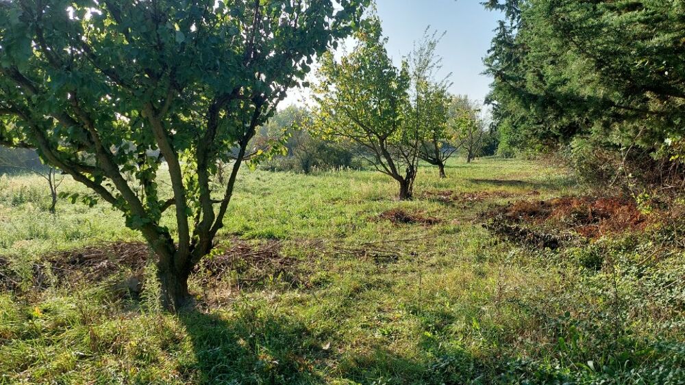 vente Terrain - 430 m² Sénas (13560)