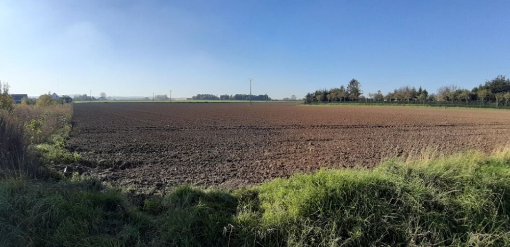 vente Terrain - 389 m² Sains-en-Gohelle (62114)