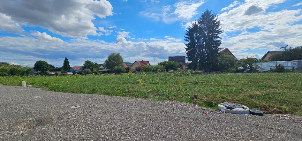vente Maison - 5 pièce(s) - 110 m² Odratzheim (67520)