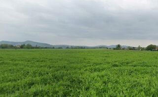  Terrain � vendre 1000 m�