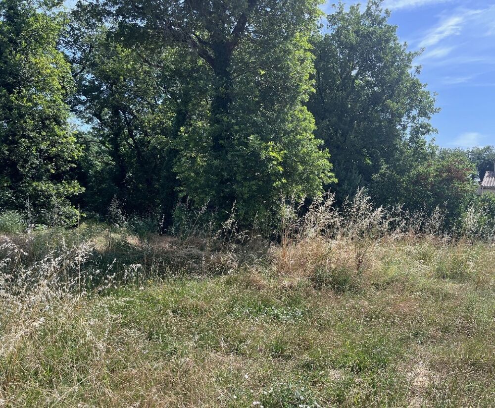 vente Terrain - 565 m² Sainte-Cécile-les-Vignes (84290)