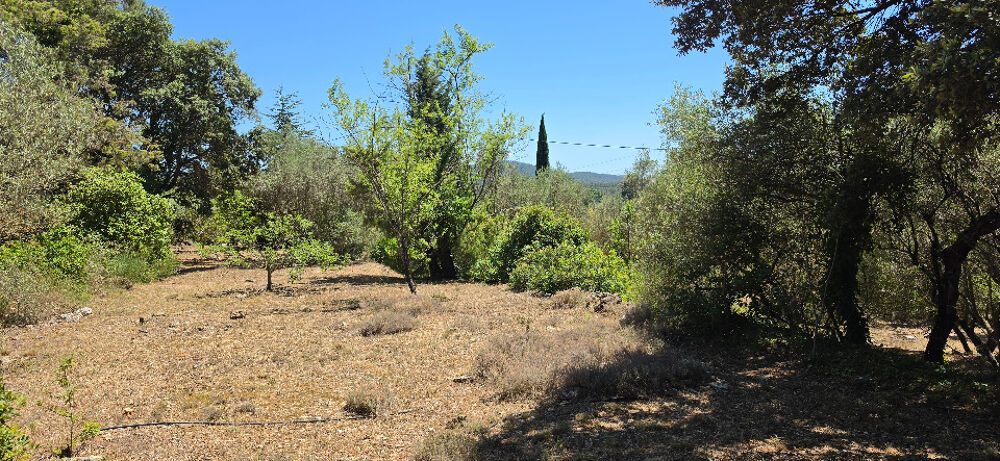 vente Terrain - 870 m² Carnoules (83660)