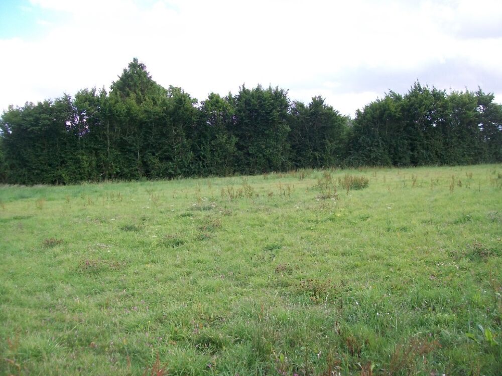 vente Maison - 5 pièce(s) - 80 m² Montreuil-sur-Brêche (60480)