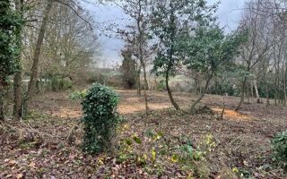  Terrain à vendre 1095 m²