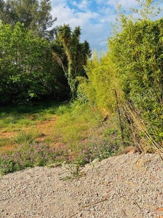  Terrain � vendre 425 m�